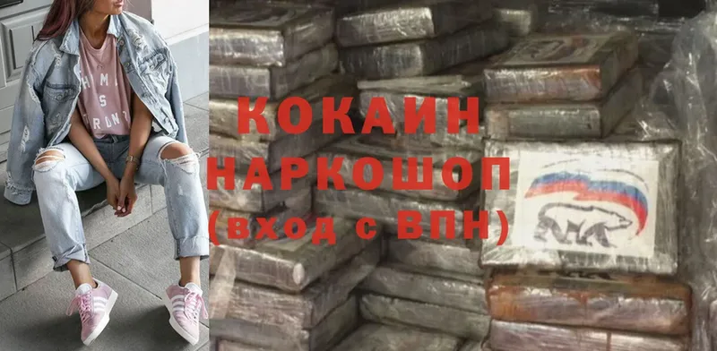 Cocaine FishScale  закладка  Курган 